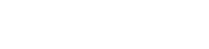 Electrosanz